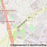 地图 Carate Brianza