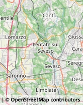 Etichette - Cartoleria Lomazzo,22074Como