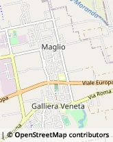 Imprese di Pulizia Galliera Veneta,35015Padova