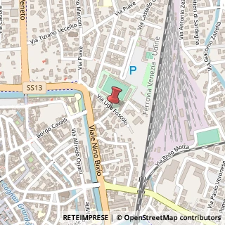 Mappa Via Ugo Foscolo, 19, 31100 Conegliano, Treviso (Veneto)