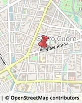 Viale Roma, 41/B,28100Novara