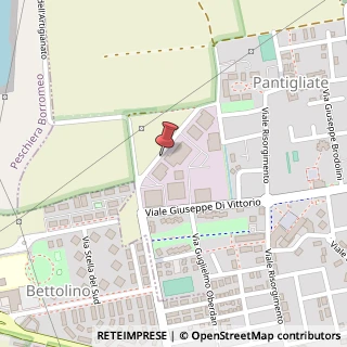 Mappa Via dell' Artigianato, 10, 20090 Pantigliate, Milano (Lombardia)