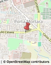 Viale Giulio Cesare, 56,28100Novara