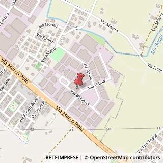 Mappa Via Udine, 7, 35035 Mestrino, Padova (Veneto)