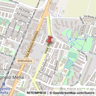 Mappa Viale italia 19, 25021 Bagnolo Mella, Brescia (Lombardia)