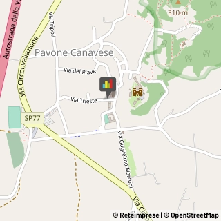 Pizzerie Pavone Canavese,10018Torino