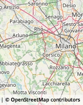 Animali Domestici - Centri Allevamento e Addestramento Settimo Milanese,20019Milano