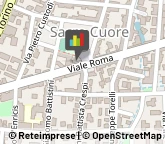 Apparecchi Acustici per Non Udenti,28100Novara
