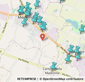 Mappa Via Giovanni Falcone, 35035 Mestrino PD, Italia (1.306)