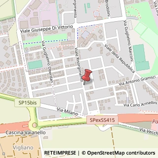 Mappa Viale Risorgimento, 55, 20090 Pantigliate, Milano (Lombardia)
