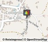 Campeggi, Villaggi Turistici e Ostelli,37030Verona