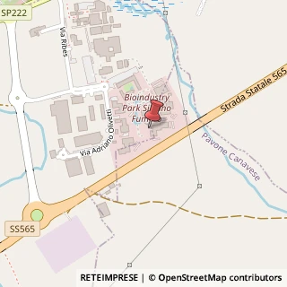 Mappa Via Ribes, 5, 10010 Samone, Torino (Piemonte)