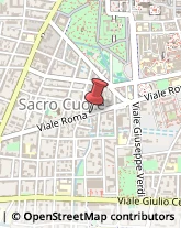 Viale Roma, 18,28100Novara