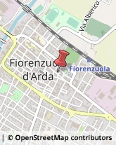 Piazza Della Rocca, 3,29017Fiorenzuola d'Arda