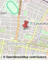 Via Carlo Cignani, 50,40128Bologna