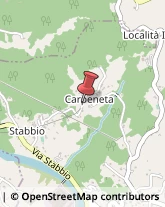 Località Carpeneta, 67,16015Casella