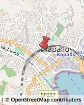 Via Goffredo Mameli, 84,16035Rapallo