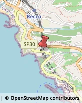 Via Romagneno, 87,16036Recco