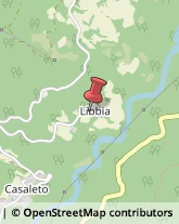 Località Libbia, 11,43041Bedonia