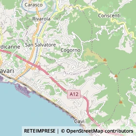 Mappa Cogorno