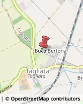 Via Buca Bertona, 6,42045Luzzara
