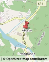 Via Avosso, 94,16015Casella