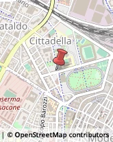 Viale della Cittadella, 41/1,41123Modena