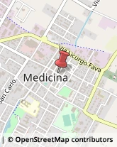 Via Libertà, 136,40059Medicina