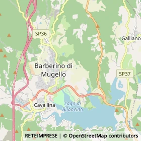 Mappa Barberino di Mugello