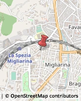 Via Lunigiana, 742,19125La Spezia