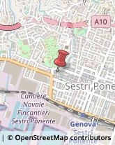Piazza Albertina, 8/R,16154Genova