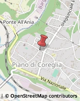 Piazza delle Botteghe, 10,55025Coreglia Antelminelli