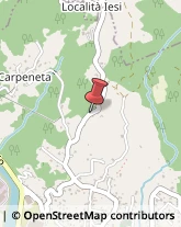 Via Carpeneli, 15,16015Casella