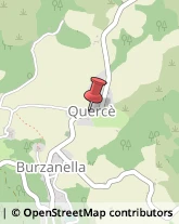 Via Quercé Burzanella, 39,40032Bologna