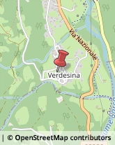 Frazione Verdesina, 51,38080Villa Rendena