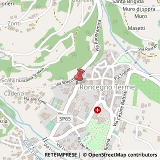 Mappa 4 Via Don Francesco Meggio, Roncegno Terme, TN 38050, 38050 Roncegno TN, Italia, 38050 Roncegno Terme, Trento (Trentino-Alto Adige)