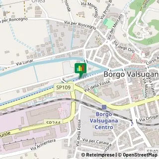 Via Roma, 9,38051Borgo Valsugana