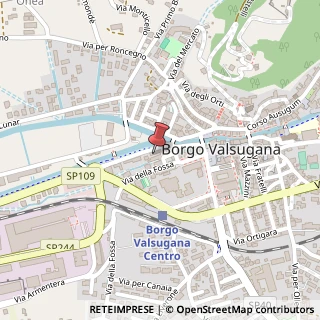 Mappa Viale Roma, 3, 38051 Borgo Valsugana, Trento (Trentino-Alto Adige)