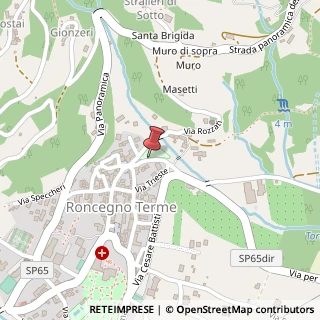 Mappa Piazza Giuseppe Garibaldi, 17, 38050 Roncegno Terme, Trento (Trentino-Alto Adige)