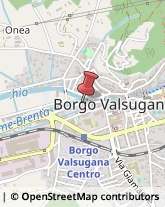 Viale Roma, 1/B,38051Borgo Valsugana