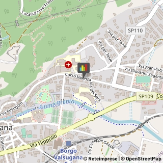 Psichiatria e Neurologia - Medici Specialisti,38051Trento