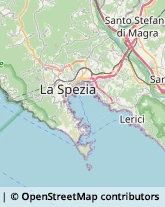 Angiologia - Medici Specialisti La Spezia,19122La Spezia