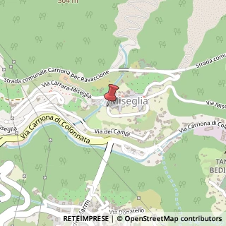 Mappa Via Miseglia Fantiscritti, 14, 54033 Carrara, Massa-Carrara (Toscana)