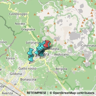 Mappa Via Carrara-Miseglia, 54033 Carrara MS, Italia (1.092)