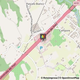 Autoveicoli Elettrici Ceriale,17023Savona