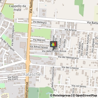Consulenze Speciali Anzio,00042Roma
