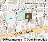 Odontoiatri e Dentisti - Medici Chirurghi,03043Frosinone