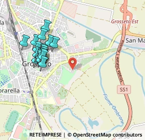 Mappa Via Pier Luigi da Palestrina, 58100 Grosseto GR, Italia (1.019)