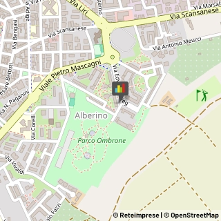 Consulenza Informatica,58100Grosseto