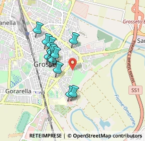 Mappa Via Spontini Gaspare, 58100 Grosseto GR, Italia (0.77071)